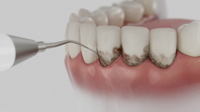 Reliable Dental contractor in Moosic, PA by Dentist Open Now